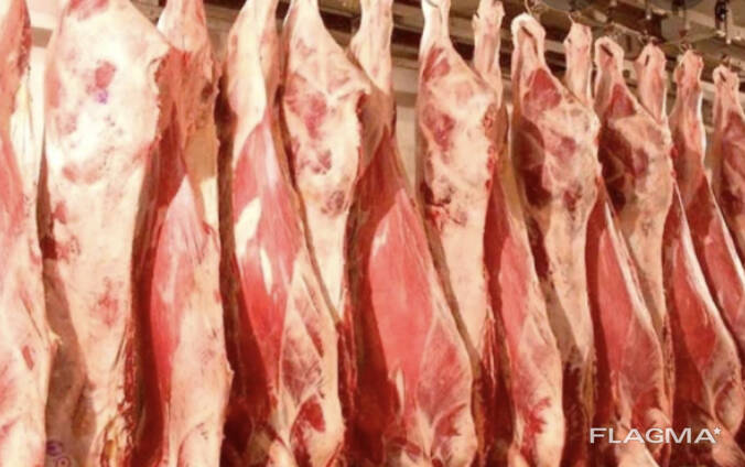 Beef