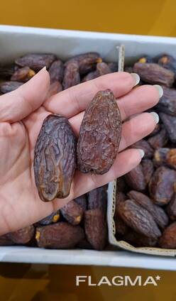 Дарахти хурмо