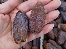 Дарахти хурмо