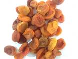 Dried Apricot 1 Grade - фото 1