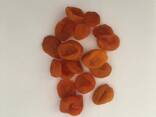 Dried Apricot 8 - фото 1
