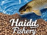 Haida Fishery - фото 1