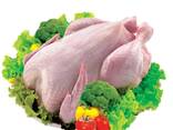 Halal Certified Frozen Whole Chicken For Sale Wholesale4 - фото 1