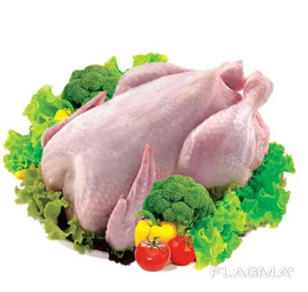 Halal Certified Frozen Whole Chicken For Sale Wholesale4