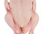 Halal Certified Frozen Whole Chicken For Sale Wholesale4 - фото 2