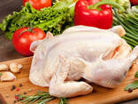 Halal Frozen Chicken, Thigh, Back quarter, Wings , Fillet IPBF , IQF, BF. - фото 1