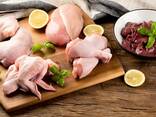Halal Frozen Chicken, Thigh, Back quarter, Wings , Fillet IPBF , IQF, BF. - фото 3