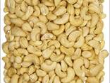 High Quality Cashew Nuts w240 Delicious Cashew Nut Kernel 100 % - фото 2