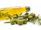 High Quality Cold Press EXtra Virgin Olive Oil Bulk Sale - фото 1
