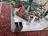 Интенсивные сады под ключ - европейская технология - photo 6