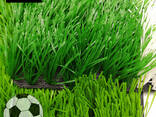 Искусственный газон для ландшафта футбола