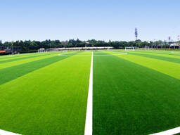 Искусственный газон для ландшафта футбола Спортивная трава