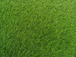 Искусственный газон из Китая - фото 1
