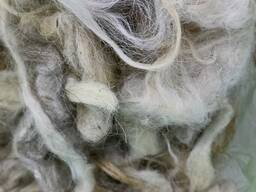 Каракульская мытый шерсть