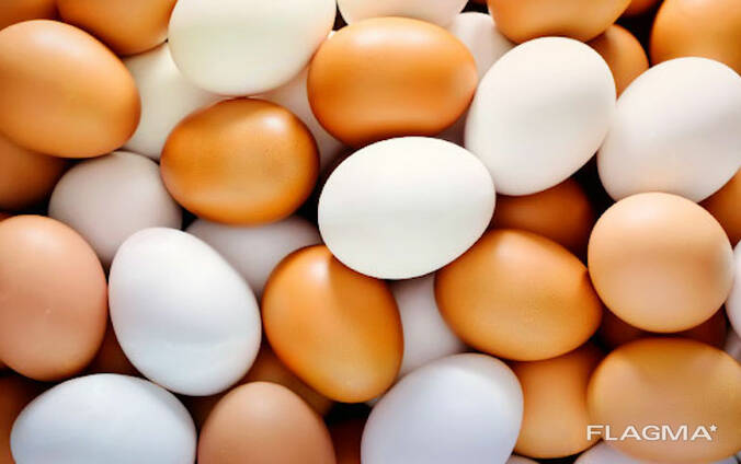 Куриные яйца