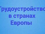 Виза и Вид на жительство в Литве работа - photo 1