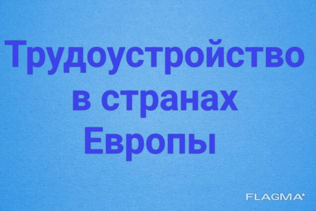 Виза и Вид на жительство в Литве работа