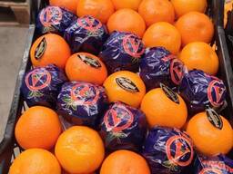 Мандарин NOVA