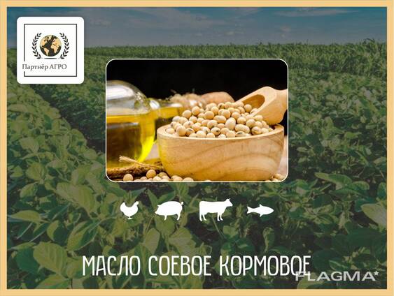 Масло соевое кормовое