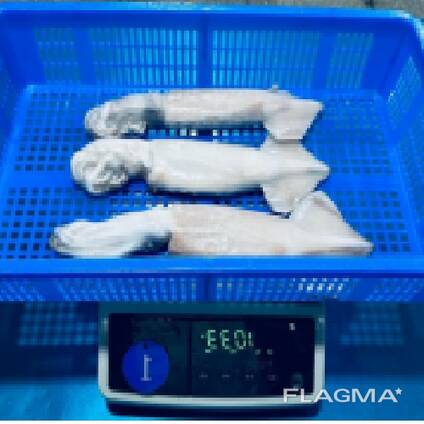 Мороженная рыба и морепродукты в Таджикистан от производителя из КНР