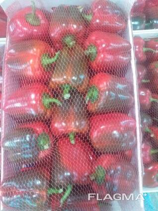 Перец KALIFORNIYA