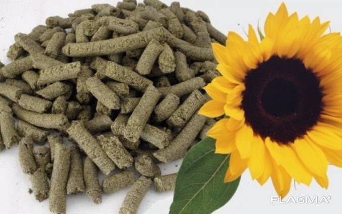 Шрот подсолнечный