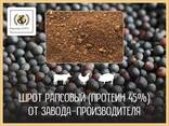 Шрот рапсовый (42% протеин на АСВ) ж/д-доставка - фото 1