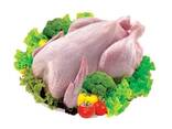 Top quality brazile Frozen Chicken inner breast wholesale price - фото 1