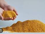 Wheat DDGS / Buğday DDGS / DDGS из пшеницы - photo 1