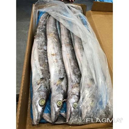 Whole Sale Good Quality Frozen Seafood Ribbon Fish