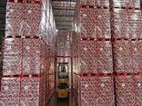 Wholesale Coca Cola, Fanta, Sprite Soft Drinks For Export - photo 2