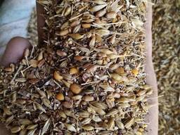 Зерно-Отходы Пшеничные
